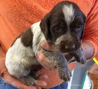 OTTO